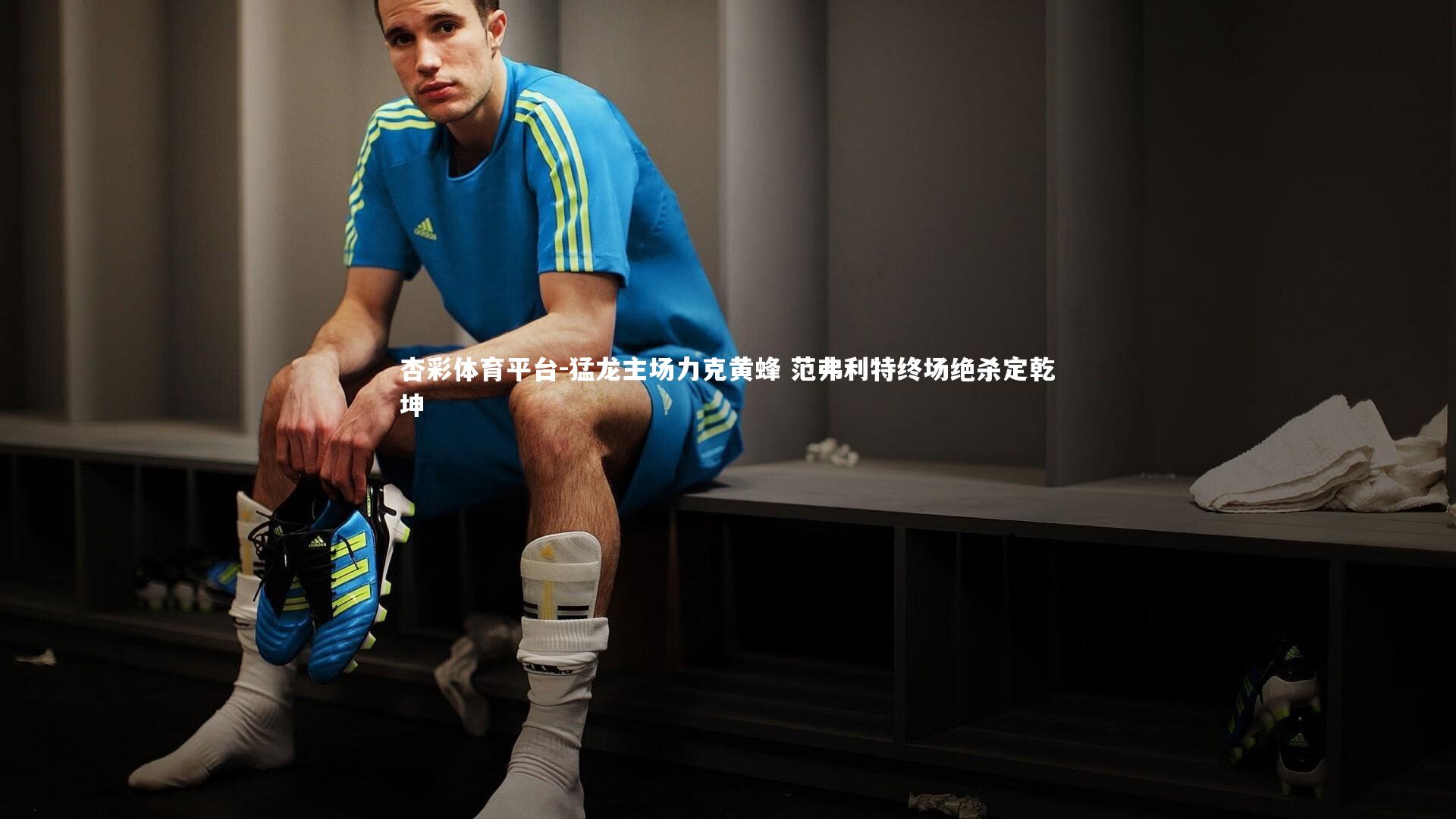 杏彩体育平台-猛龙主场力克黄蜂 范弗利特终场绝杀定乾坤